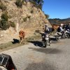 sardinienrally 11.10.16.10.2017